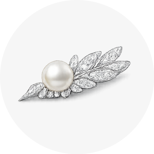 それぞれのカテゴリーを表す画像