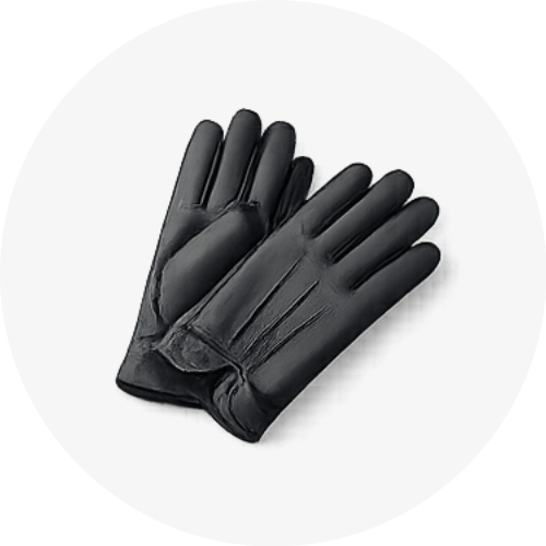 それぞれのカテゴリーを表す画像