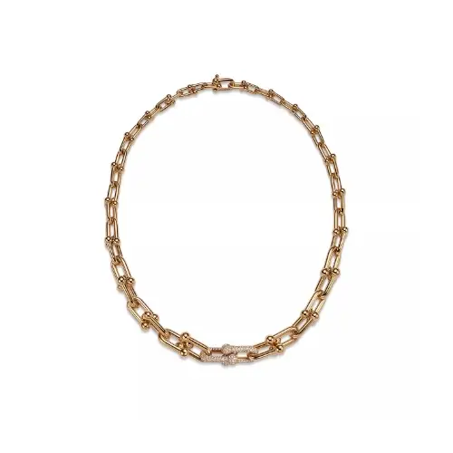 アイナ・ジ・エンドが着用しているTiffany & Co.のネックレス