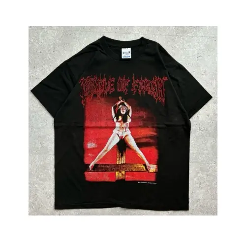 平本蓮が着用しているVINTAGEのTシャツ